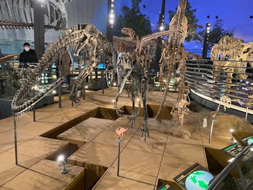 福井県立恐竜博物館に投稿された画像（2025/1/18）