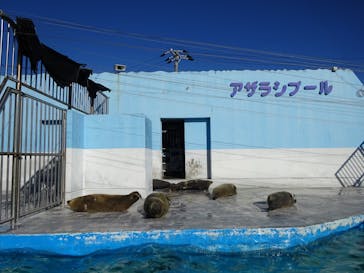 南知多ビーチランド＆南知多おもちゃ王国に投稿された画像（2025/1/18）