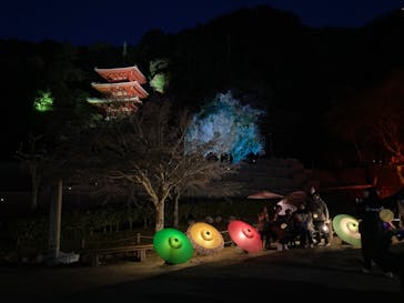 ぎふ灯り物語 ２０２６に投稿された画像（2025/1/18）