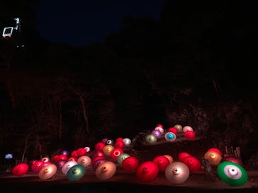 ぎふ灯り物語 ２０２６に投稿された画像（2025/1/18）