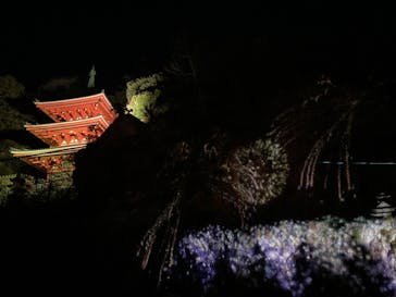 ぎふ灯り物語 ２０２６に投稿された画像（2025/1/18）