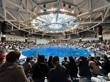 マクセル アクアパーク品川に投稿された画像（2025/1/18）