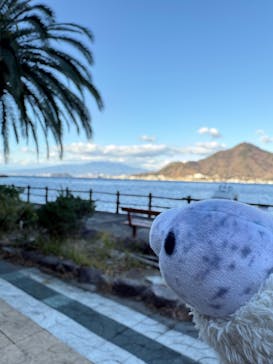 あわしまマリンパークに投稿された画像（2025/1/18）