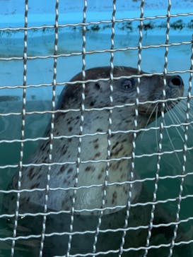 あわしまマリンパークに投稿された画像（2025/1/18）