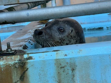 あわしまマリンパークに投稿された画像（2025/1/18）