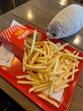 あわしまマリンパークに投稿された画像（2025/1/18）