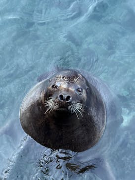 伊豆・三津シーパラダイスに投稿された画像（2025/1/18）