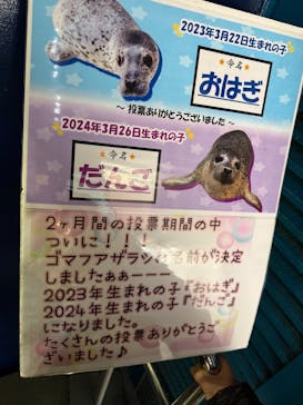 伊豆・三津シーパラダイスに投稿された画像（2025/1/18）