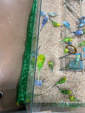 いきもの探検隊上尾に投稿された画像（2025/1/18）