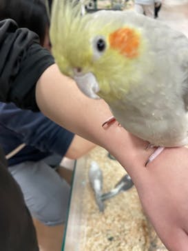 いきもの探検隊上尾に投稿された画像（2025/1/18）