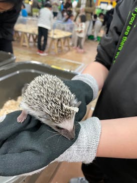 いきもの探検隊上尾に投稿された画像（2025/1/18）