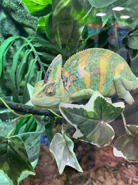 いきもの探検隊上尾に投稿された画像（2025/1/18）