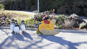 しながわ水族館に投稿された画像（2025/1/18）
