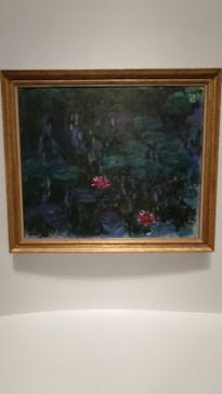 モネ 睡蓮のとき（国立西洋美術館）に投稿された画像（2025/1/18）