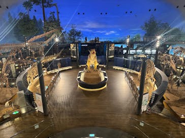 福井県立恐竜博物館に投稿された画像（2025/1/18）