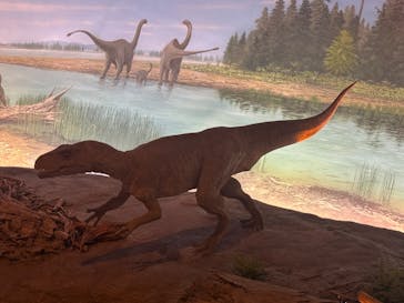 福井県立恐竜博物館に投稿された画像（2025/1/18）