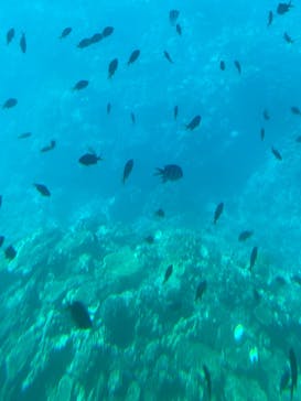 ウエストマリンに投稿された画像（2025/1/18）