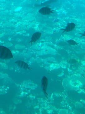 ウエストマリンに投稿された画像（2025/1/18）