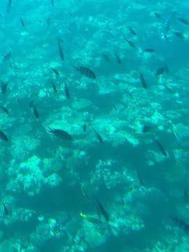 ウエストマリンに投稿された画像（2025/1/18）