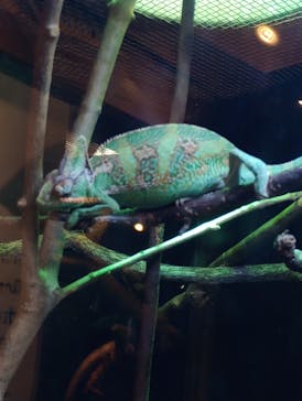 恩賜上野動物園に投稿された画像（2025/1/18）