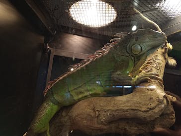 恩賜上野動物園に投稿された画像（2025/1/18）