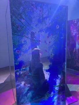 蜷川実花展 with EiM：彼岸の光、此岸の影 NINAGAWA Mika with EiM：Lights of the beyond, Shadows of this worldに投稿された画像（2025/1/18）