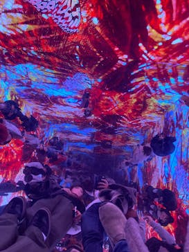 蜷川実花展 with EiM：彼岸の光、此岸の影 NINAGAWA Mika with EiM：Lights of the beyond, Shadows of this worldに投稿された画像（2025/1/18）