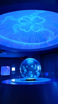 新江ノ島水族館に投稿された画像（2025/1/18）