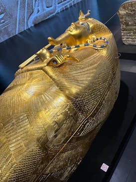 MYSTERY OF TUTANKHAMEN 体感型古代エジプト展に投稿された画像（2025/1/18）
