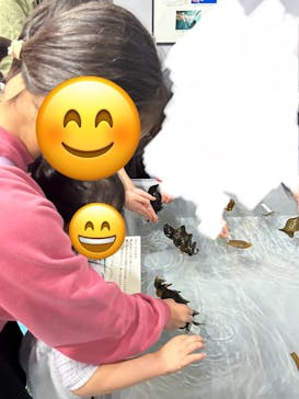 アクアワールド茨城県大洗水族館に投稿された画像（2025/1/18）