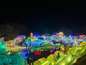 伊豆高原グランイルミに投稿された画像（2025/1/18）