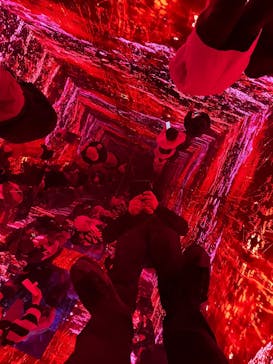 蜷川実花展 with EiM：彼岸の光、此岸の影 NINAGAWA Mika with EiM：Lights of the beyond, Shadows of this worldに投稿された画像（2025/1/18）