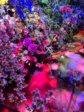 蜷川実花展 with EiM：彼岸の光、此岸の影 NINAGAWA Mika with EiM：Lights of the beyond, Shadows of this worldに投稿された画像（2025/1/18）