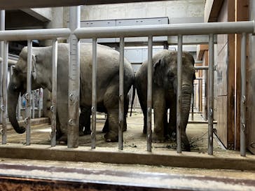 名古屋市東山動植物園に投稿された画像（2025/1/18）