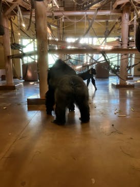 名古屋市東山動植物園に投稿された画像（2025/1/18）