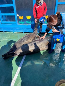 ゼロ距離水族館 伊勢シーパラダイスに投稿された画像（2025/1/18）