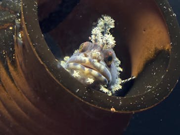横浜・八景島シーパラダイスに投稿された画像（2025/1/18）