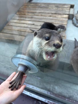 横浜・八景島シーパラダイスに投稿された画像（2025/1/18）