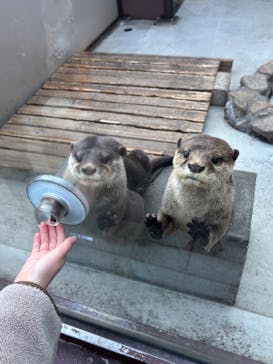 横浜・八景島シーパラダイスに投稿された画像（2025/1/18）