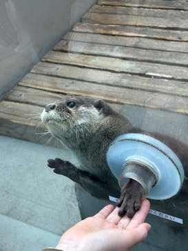 横浜・八景島シーパラダイスに投稿された画像（2025/1/18）