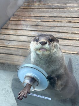 横浜・八景島シーパラダイスに投稿された画像（2025/1/18）