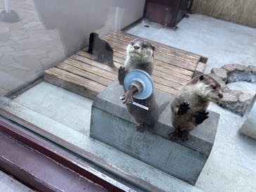 横浜・八景島シーパラダイスに投稿された画像（2025/1/18）