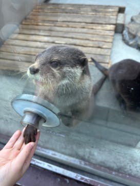 横浜・八景島シーパラダイスに投稿された画像（2025/1/18）