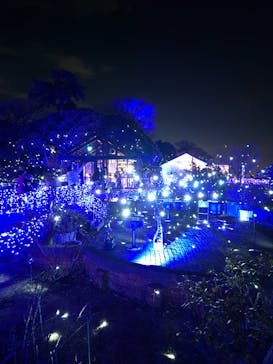 江の島シーキャンドルに投稿された画像（2025/1/19）