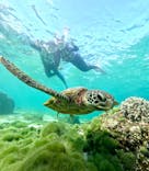 ちゃこたびに投稿された画像（2025/1/19）