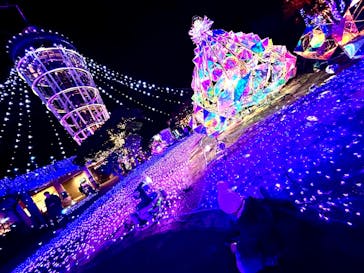 江の島シーキャンドルに投稿された画像（2025/1/19）