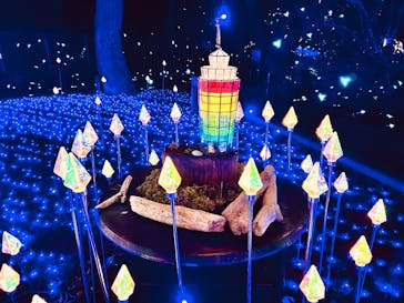 江の島シーキャンドルに投稿された画像（2025/1/19）