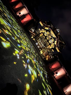 NAKED meets 二条城 2025 観月に投稿された画像（2025/1/19）