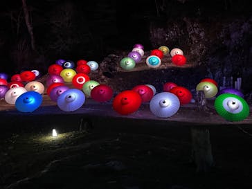 ぎふ灯り物語 ２０２６に投稿された画像（2025/1/19）