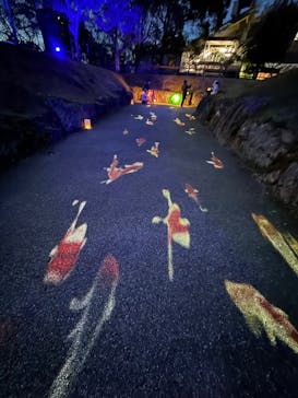 ぎふ灯り物語 ２０２６に投稿された画像（2025/1/19）